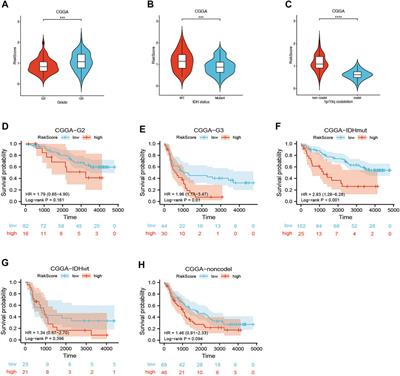 Cuproptosis-related gene signature stratifies lower-grade glioma patients and predicts immune characteristics